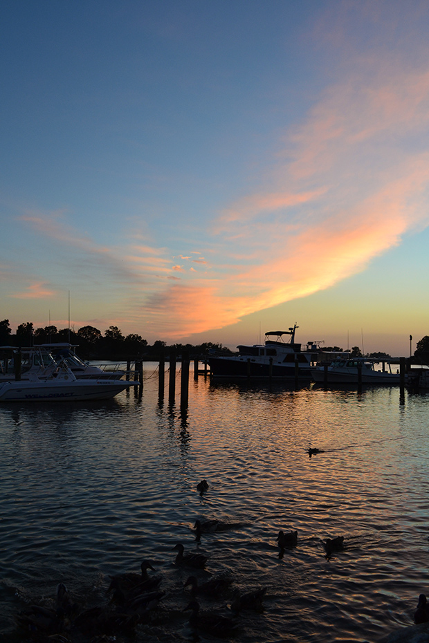 Our sunset view of Cabin Creek from the restaurant, as the First Mate teased fowl with leftovers, 20SEP14